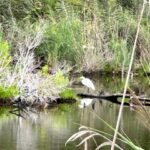 IMG_2512 | LiteMovers
