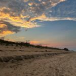 IMG_2563 | LiteMovers