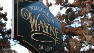 Wayne PA apartment moving company near me