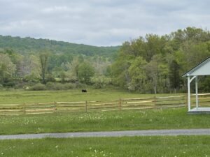 Pasture in agrarian Elverson PA Chester county part of the apeal of moving to Elverson